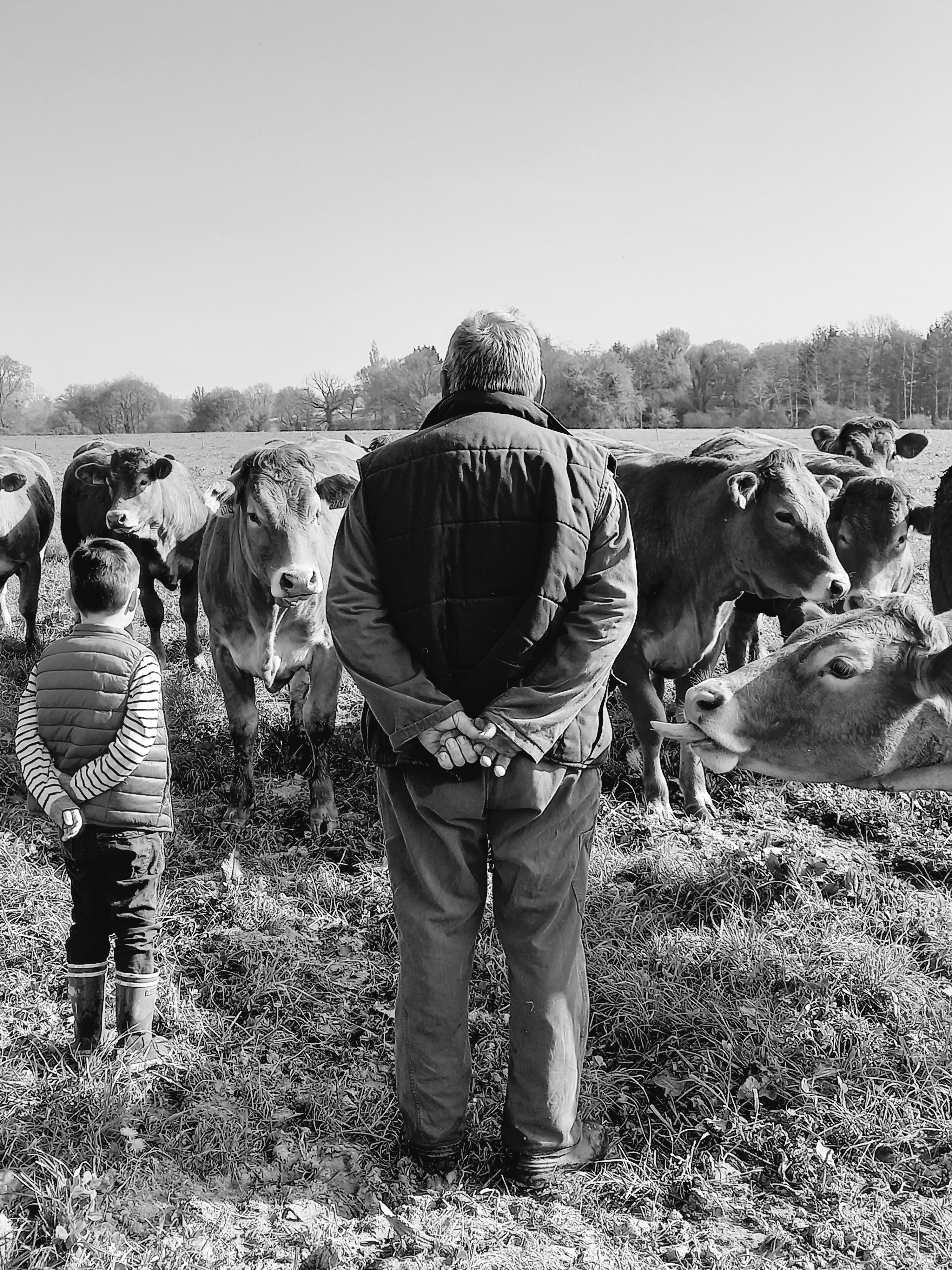 Outils de sensibilisation au bien-être animal