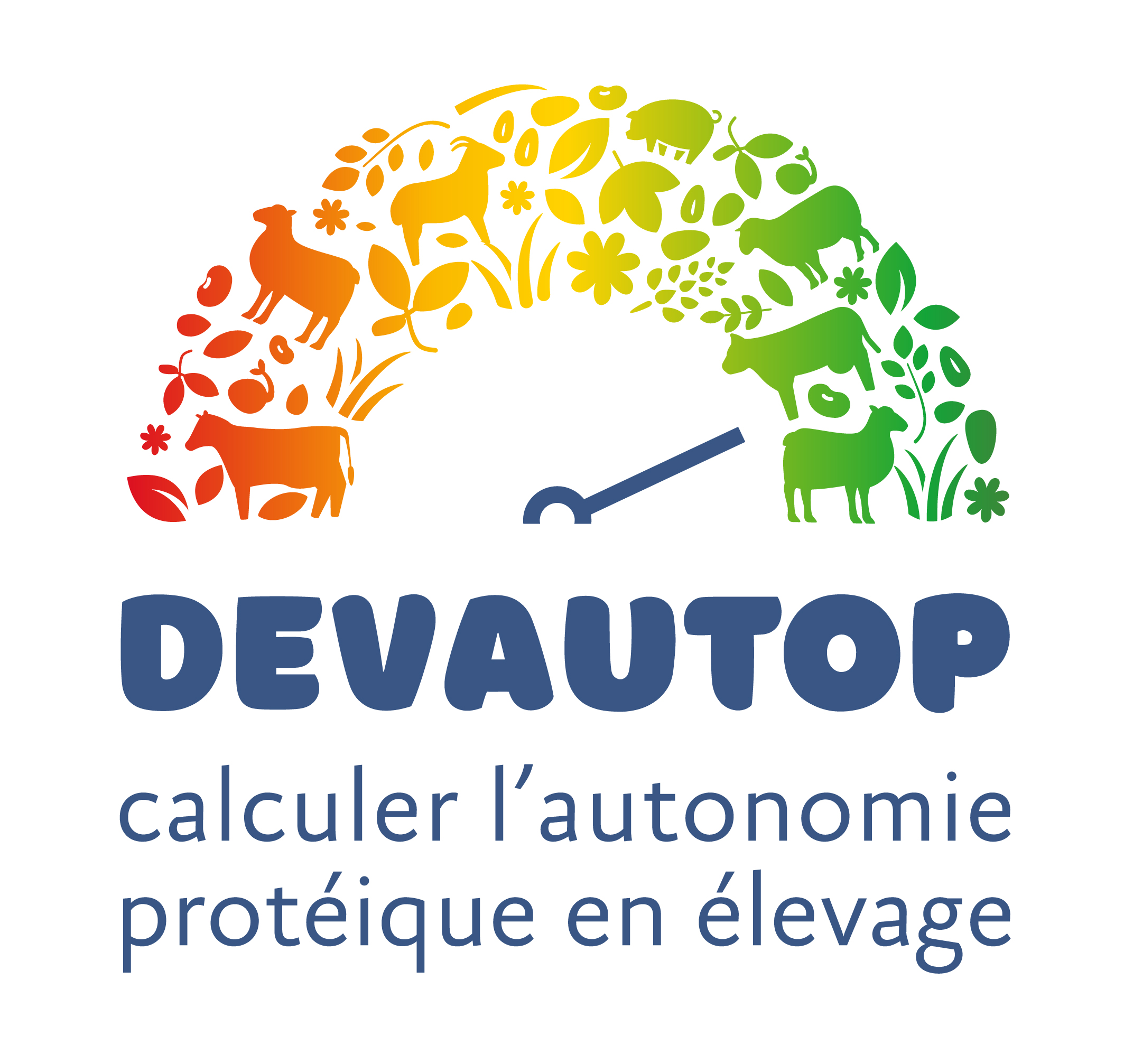 Devautop web